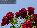 %_tempFileName080-r3952-20260516-0742%