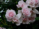 %_tempFileName089-r4340-20260523-1979%