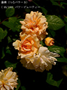 %_tempFileName095-r4667-20260517-0989%