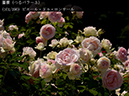 %_tempFileName101-r4852-20260530-1432%