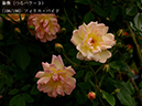 %_tempFileName106-r5167-20260508-0570%