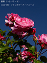 %_tempFileName113-r5473-20260517-0522%