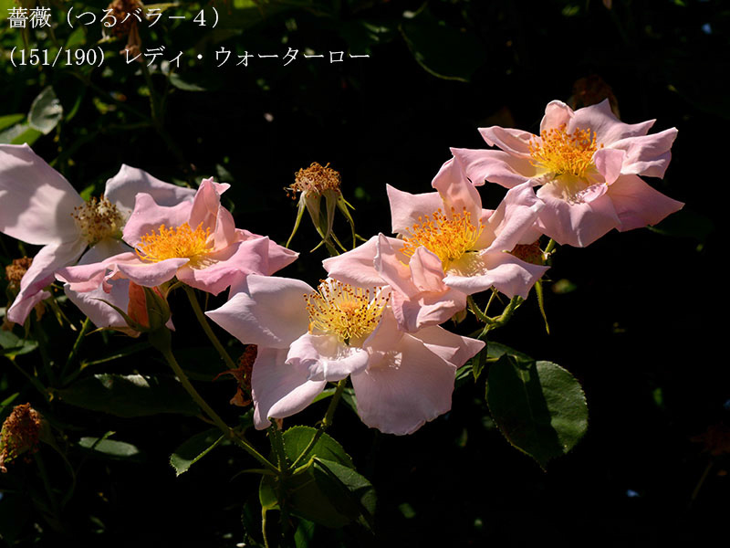 %_tempFileName151-r7657-20260517-1067%