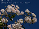 %_tempFileName127-r6071-20260530-2363%