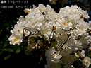 %_tempFileName138-r6899-20260517-1126%