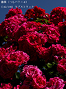 %_tempFileName142-r7251-20260517-0525%