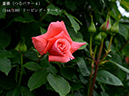 %_tempFileName144-r7310-20260506-1436%