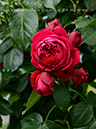 %_tempFileName146-r7450-20260508-1992%