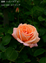 %_tempFileName147-r7459-20260506-1696%