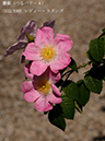 %_tempFileName152-r7697-20260517-0632%