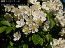 %_tempFileName157-r8057-20260530-2357%