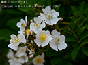 %_tempFileName159-r8083-20260506-0102%
