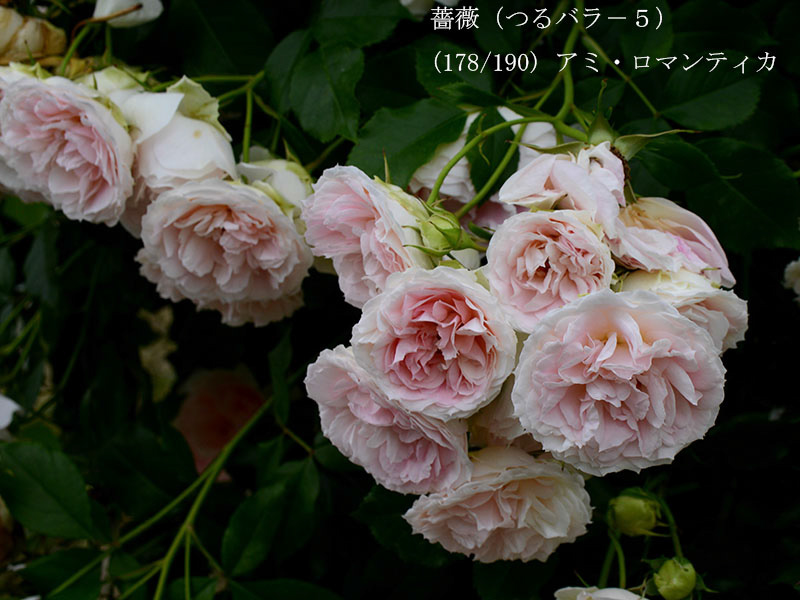 %_tempFileName178-r9043-20260523-1664%