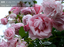%_tempFileName162-r8276-20260523-1962%