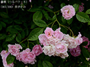 %_tempFileName167-r8417-20260523-1769%