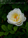 %_tempFileName190-r9477-20260523-1914%