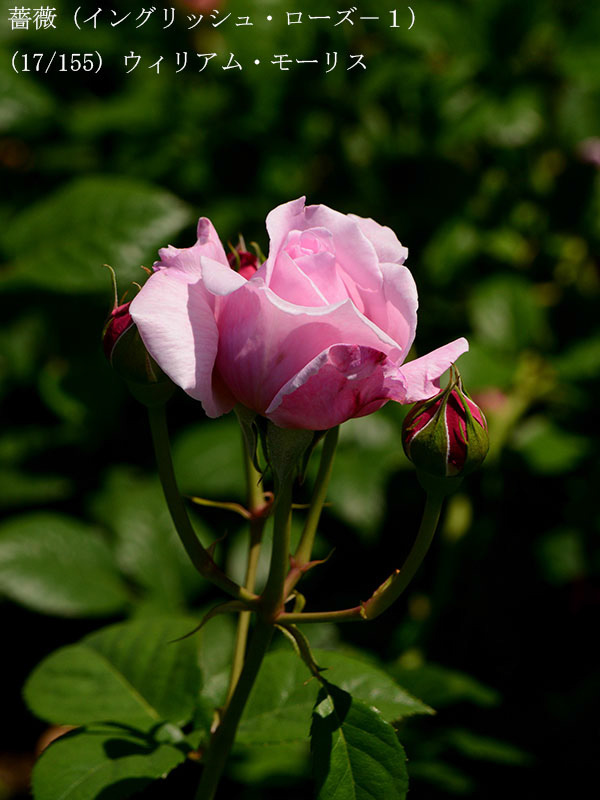 %_tempFileName017-r0830-20260505-2037%