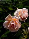 %_tempFileName003-r0080-20260513-1252%