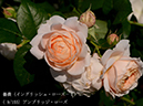 %_tempFileName009-r0571-20260505-0737%