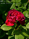 %_tempFileName015-r0826-20260513-1626%