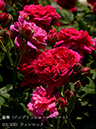 %_tempFileName021-r0922-20260513-1343%