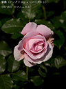 %_tempFileName022-r1071-20260513-1609%