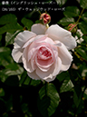 %_tempFileName038-r2329-20260513-1232%