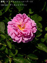 %_tempFileName039-r2334-20260513-1339%