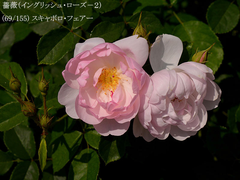 %_tempFileName069-r3268-20260513-1522%
