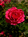 %_tempFileName053-r2380-20260513-1215%