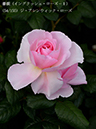 %_tempFileName054-r2603-20260513-1815%