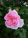 %_tempFileName055-r2605-20260513-1896%