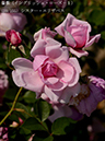 %_tempFileName059-r2721-20260513-1509%