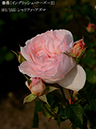 %_tempFileName061-r2832-20260512-2321%