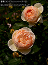 %_tempFileName062-r2912-20260513-1736%