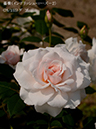 %_tempFileName076-r3669-20260513-1778%