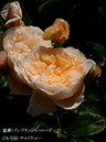 %_tempFileName078-r3784-20260513-1366%