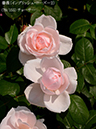 %_tempFileName079-r3800-20260513-1714%
