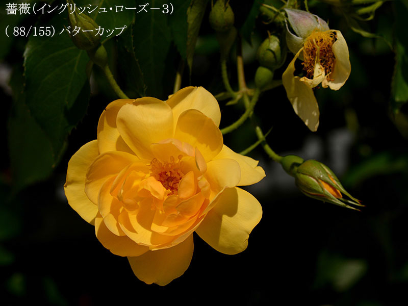 %_tempFileName088-r4585-20260505-1330%