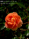 %_tempFileName089-r4596-20260505-1371%