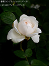 %_tempFileName097-r5193-20260513-1860%