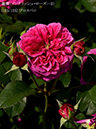 %_tempFileName103-r5776-20260513-1672%