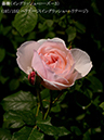 %_tempFileName107-r5906-20260516-0241%