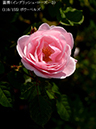 %_tempFileName110-r6027-20260513-1620%