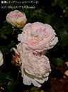 %_tempFileName117-r6739-20260513-1435%