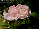 %_tempFileName129-r7484-20260513-1456%