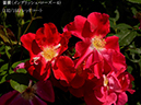 %_tempFileName132-r7654-20260513-1371%