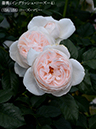 %_tempFileName138-r7833-20260513-1565%