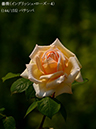 %_tempFileName144-r8961-20260516-0247%