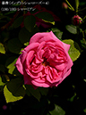 %_tempFileName150-r9455-20260513-1390%